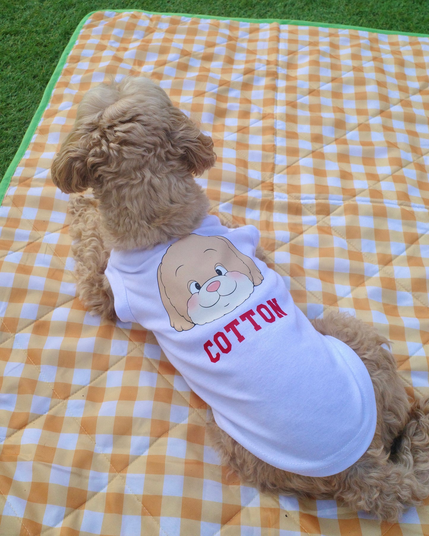 うちの子スクールTシャツ