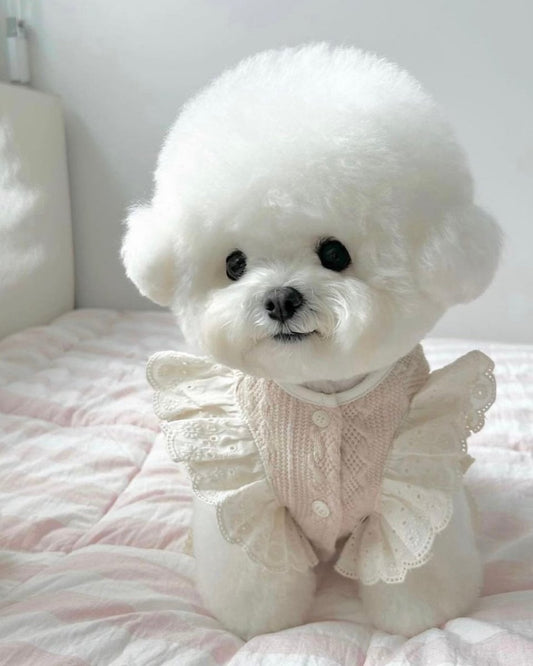 baby bib lace poncho - HEY,BUDDY