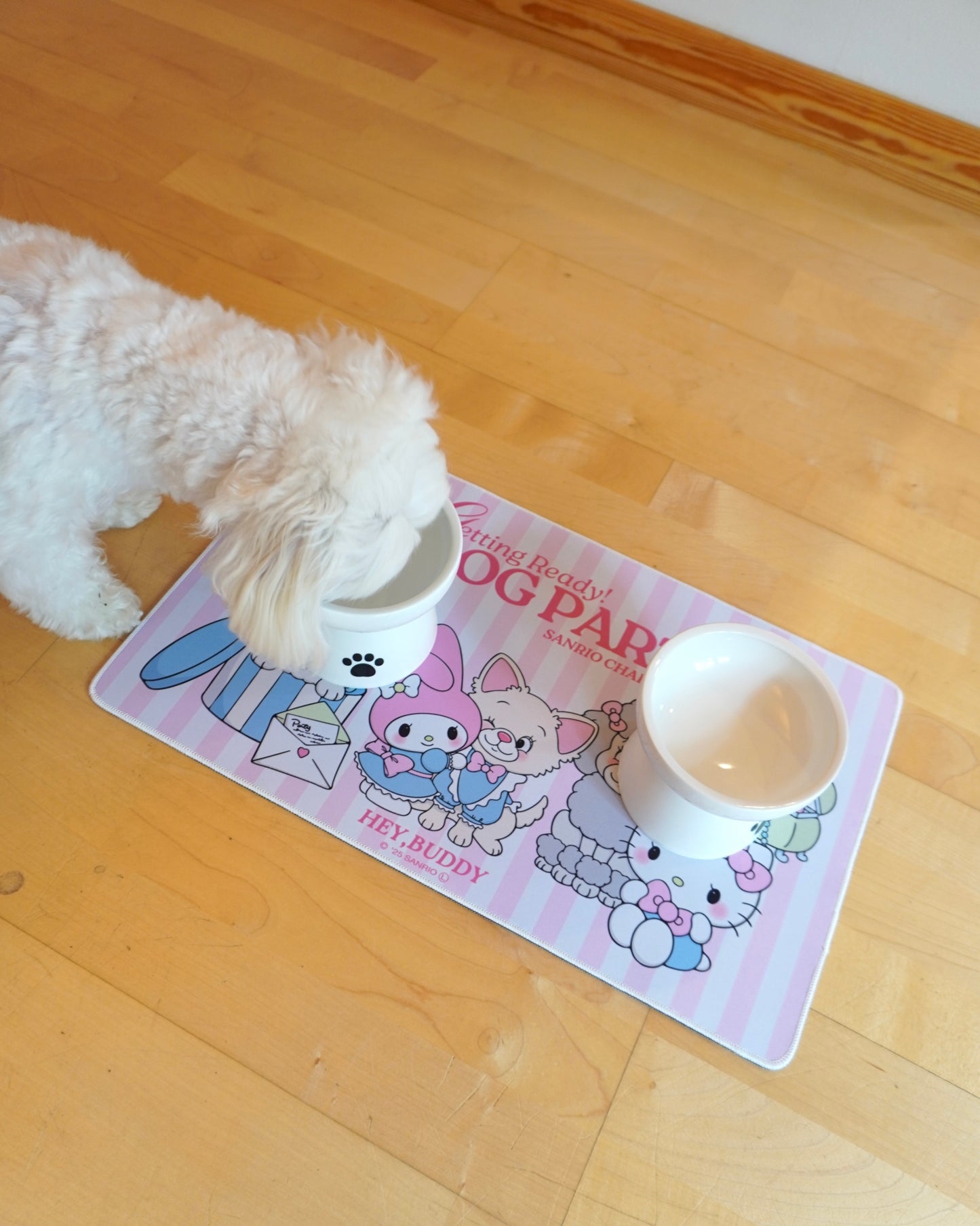 【SANRIO CHARACTERS】DOG PARTY フード&デスクマット