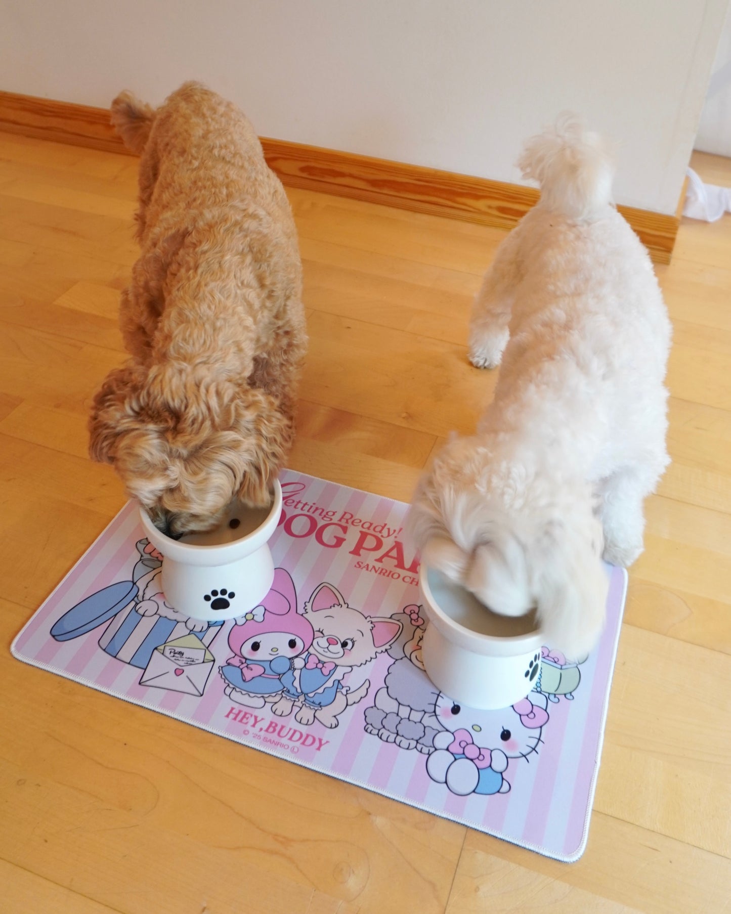 【SANRIO CHARACTERS】DOG PARTY フード&デスクマット