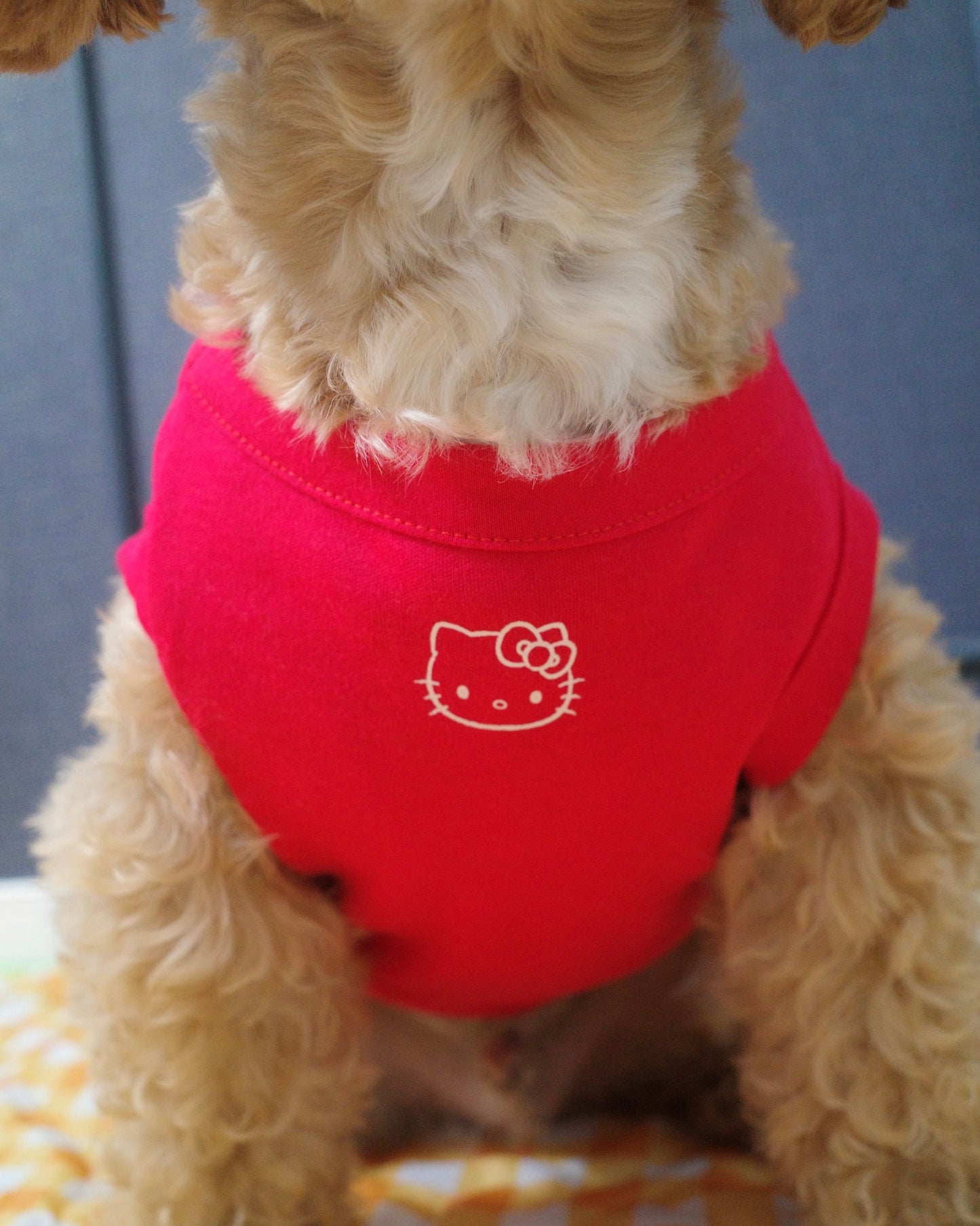 <10/17予約開始>【HELLO KITTY】おやつ大好きくらぶ。Tシャツ