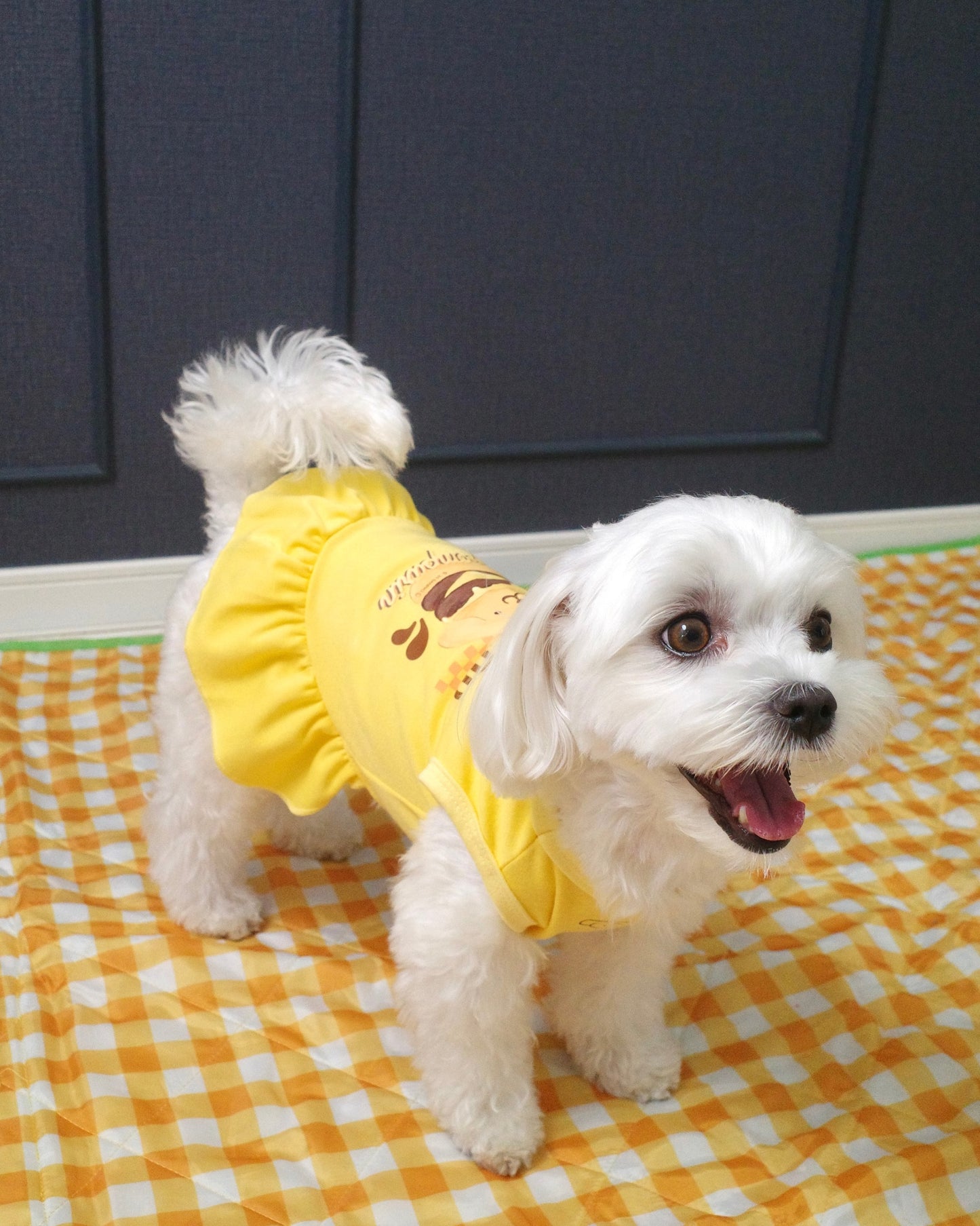 <10/17予約開始>【POMPOMPURIN】おやつ大好きくらぶ。ワンピース