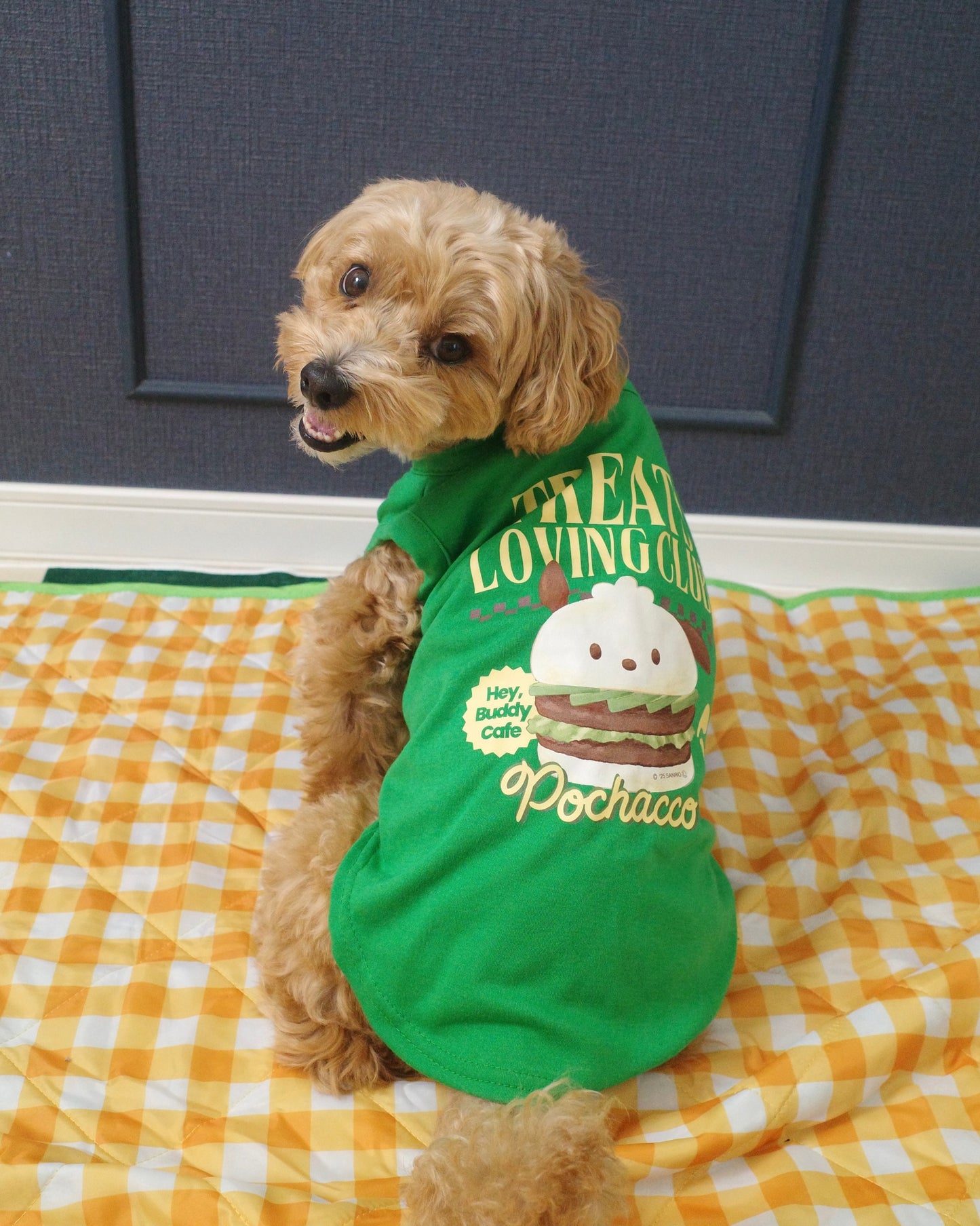 <10/17予約開始>【POCHACCO】おやつ大好きくらぶ。Tシャツ