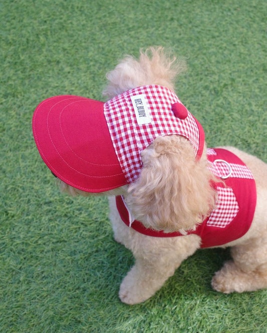 gingham check baseball cap - HEY,BUDDY