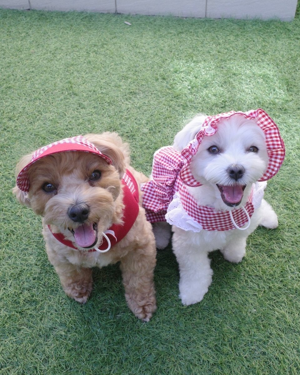 gingham check lace bonnet - HEY,BUDDY