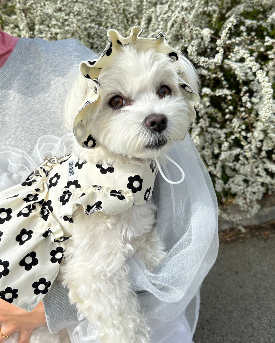 monotone flower bonnet - HEY,BUDDY