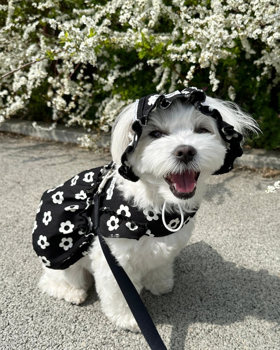 monotone flower bonnet - HEY,BUDDY