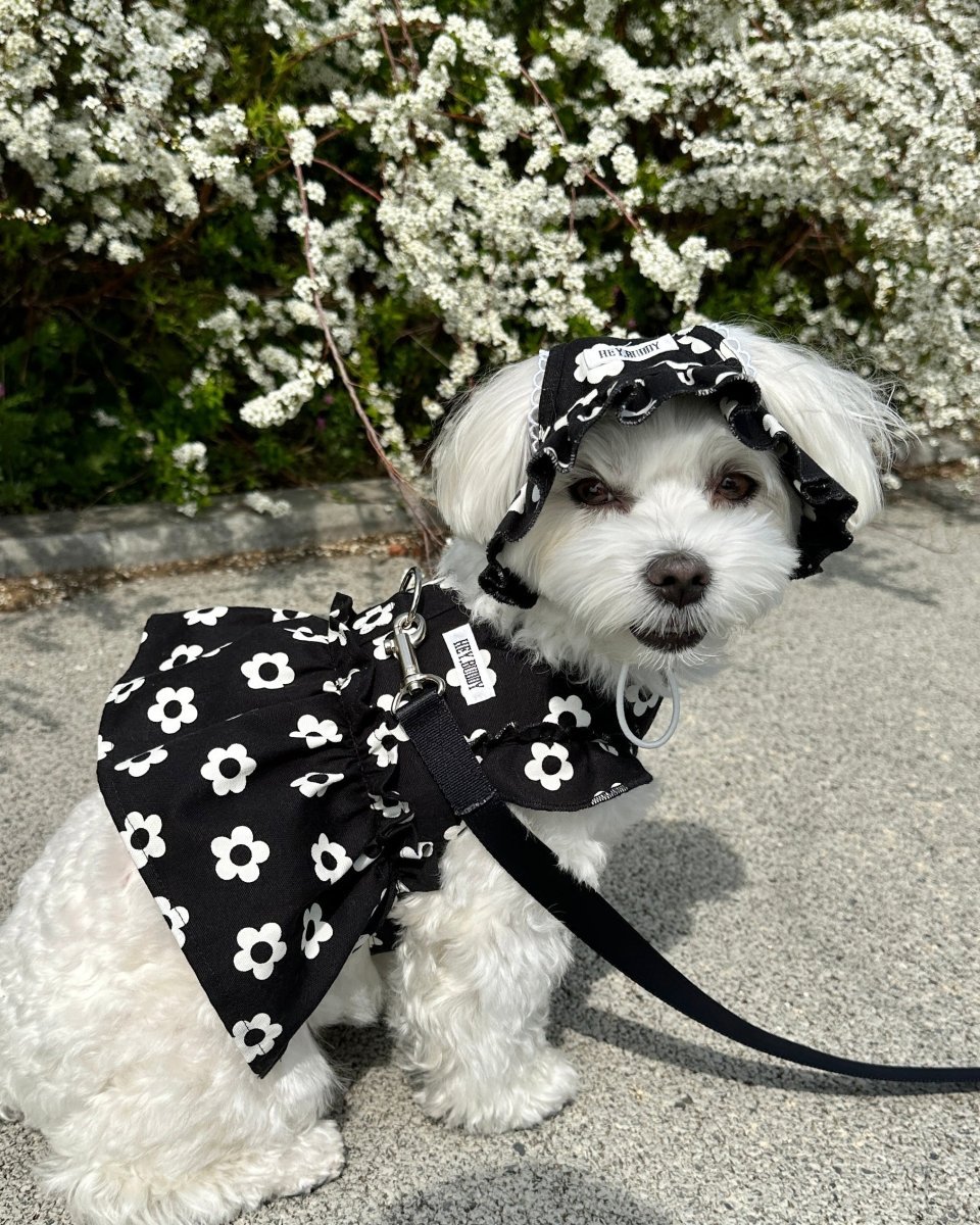 monotone flower bonnet - HEY,BUDDY