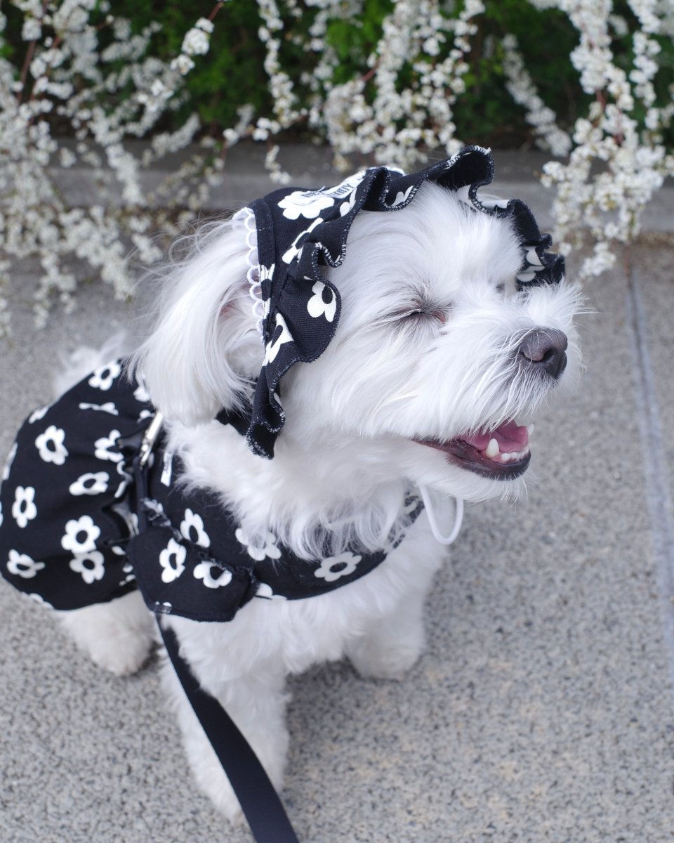 monotone flower bonnet - HEY,BUDDY