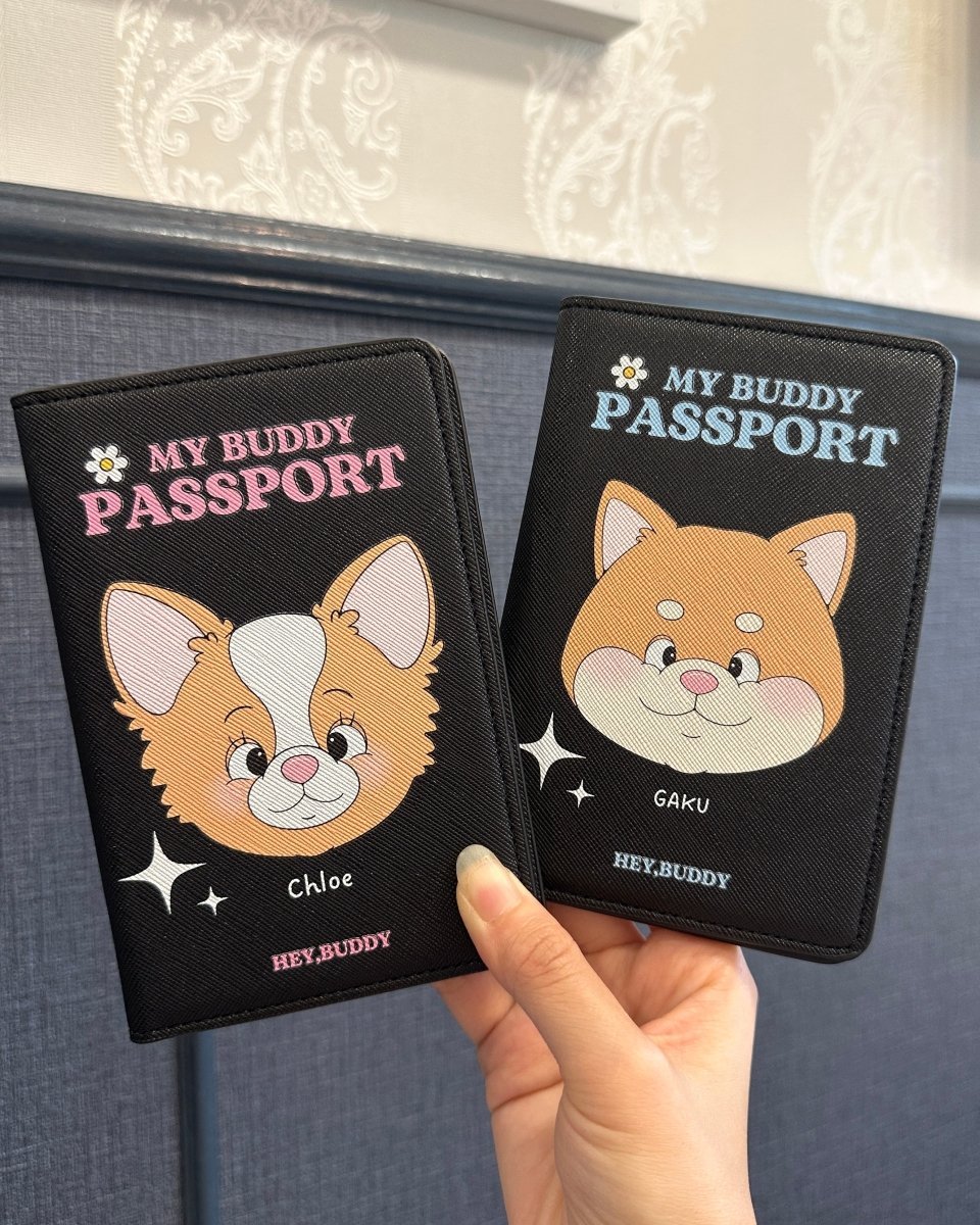 PASSPORT - crayon - HEY,BUDDY