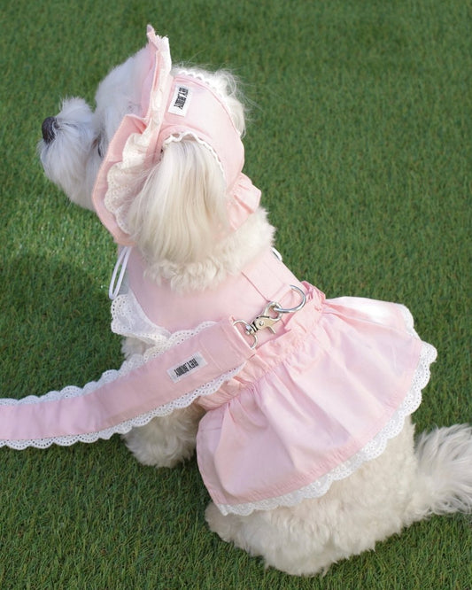 【感謝祭限定】パステルハーネス&リードセット