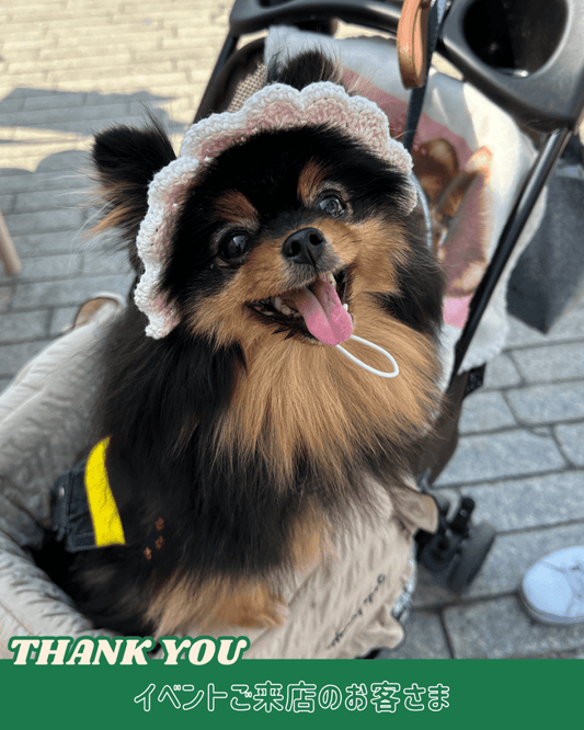 パステルフリルハット - HEY,BUDDY