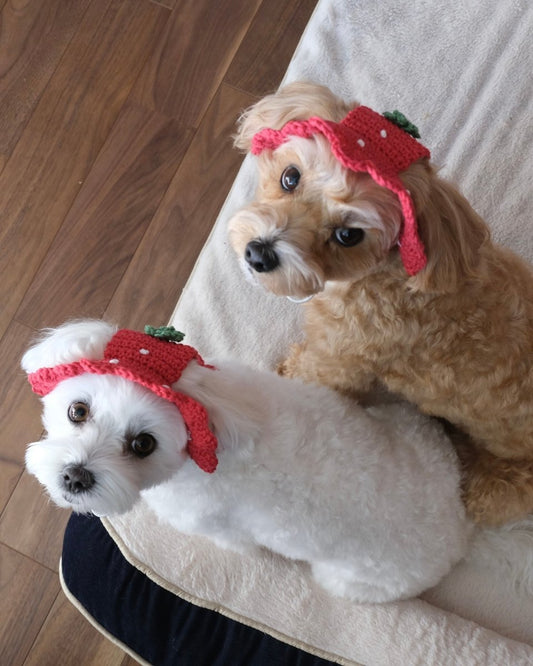 【感謝祭限定】いちごちゃん+ランダムハット2点セット