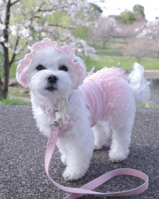 お花見ボンネット - HEY,BUDDY