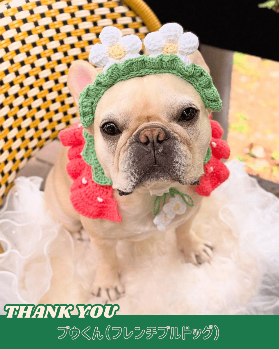 いちごちゃんセット(ケープ&カチューシャ) - HEY,BUDDY