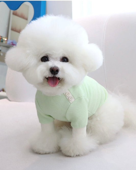 シャーベットワッフルTシャツ - HEY,BUDDY