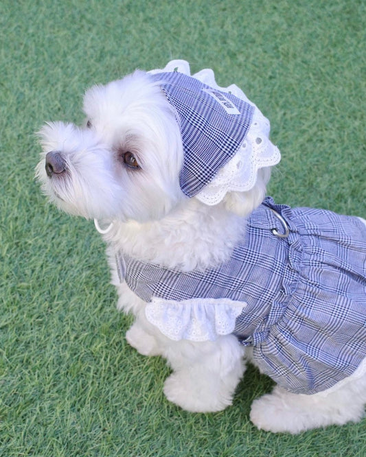 trad lace babushuka / bib FOR DOG - HEY,BUDDY