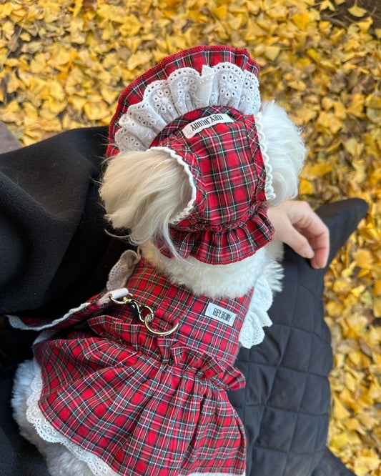 trad lace bonnet - HEY,BUDDY