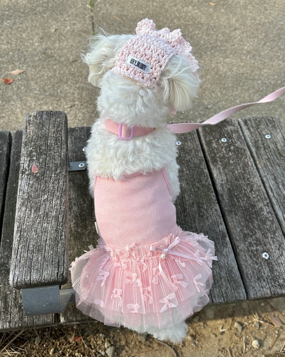 【残り1点】チュチュドレス - HEY,BUDDY