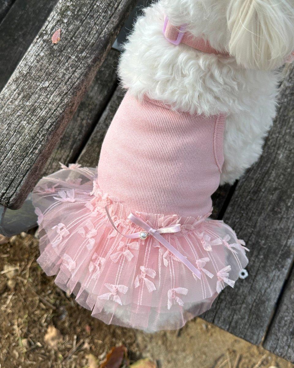 【残り1点】チュチュドレス - HEY,BUDDY