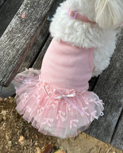 【残り1点】チュチュドレス - HEY,BUDDY