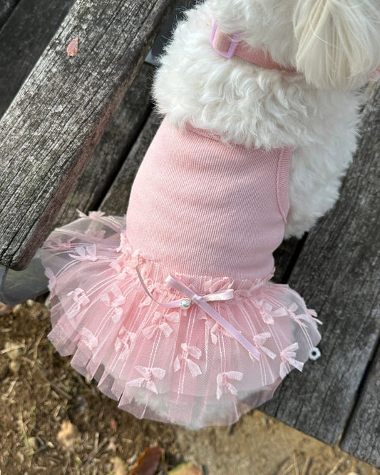 【残り1点】チュチュドレス - HEY,BUDDY