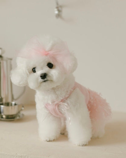 【残り1点】チュチュドレス - HEY,BUDDY