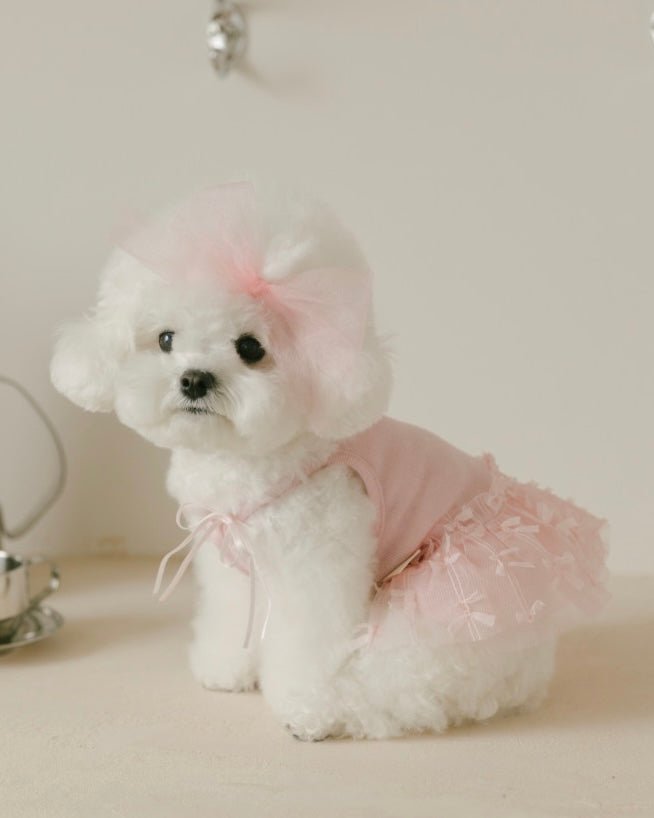 【残り1点】チュチュドレス - HEY,BUDDY