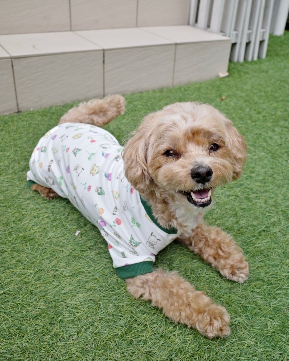 12/5発売【SANRIO CHARACTERS】総柄フラワーロンパース - HEY,BUDDY