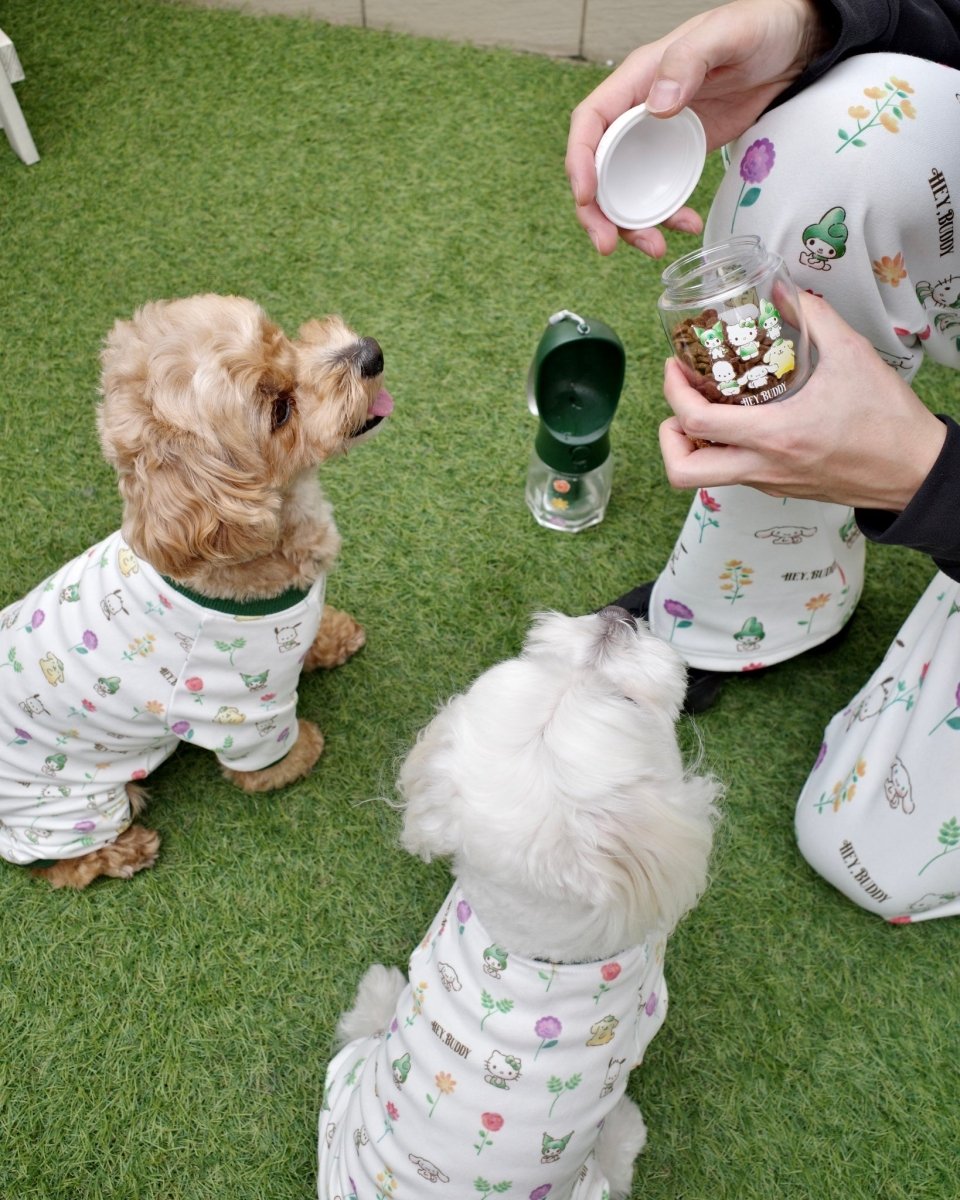 12/5発売【SANRIO CHARACTERS】総柄フラワースウェットパンツ - HEY,BUDDY