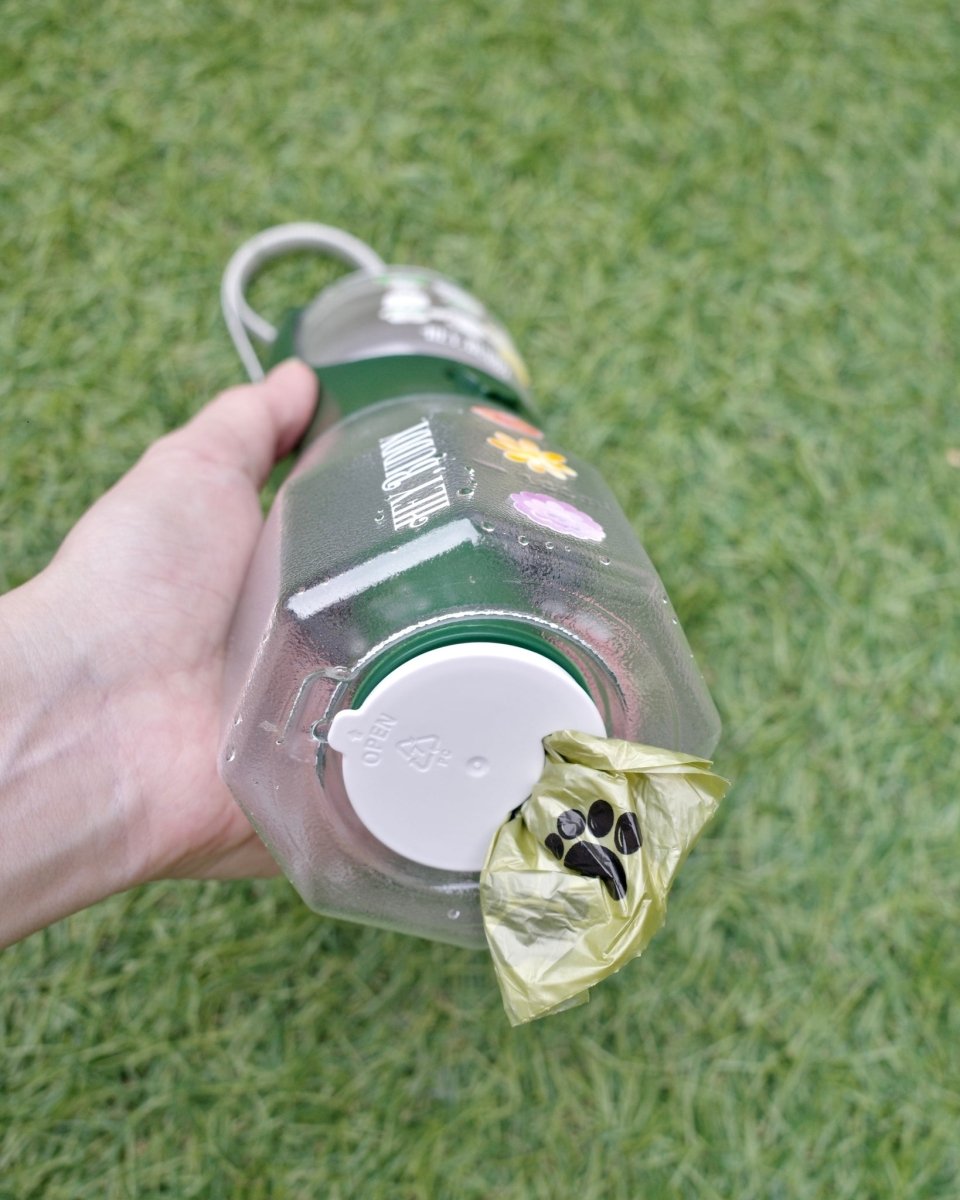 12/5発売【SANRIO CHARACTERS】3 in 1 flower bottle - 300ml - HEY,BUDDY