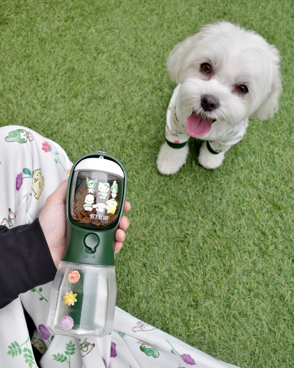 12/5発売【SANRIO CHARACTERS】3 in 1 flower bottle - 300ml - HEY,BUDDY