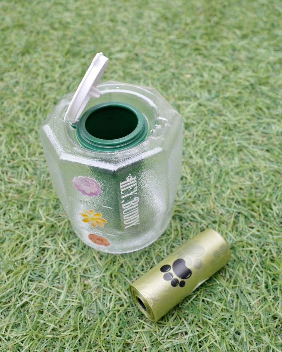 12/5発売【SANRIO CHARACTERS】3 in 1 flower bottle - 300ml - HEY,BUDDY