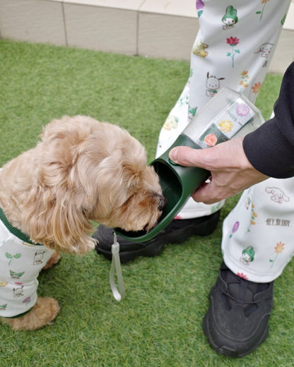 12/5発売【SANRIO CHARACTERS】3 in 1 flower bottle - 300ml - HEY,BUDDY