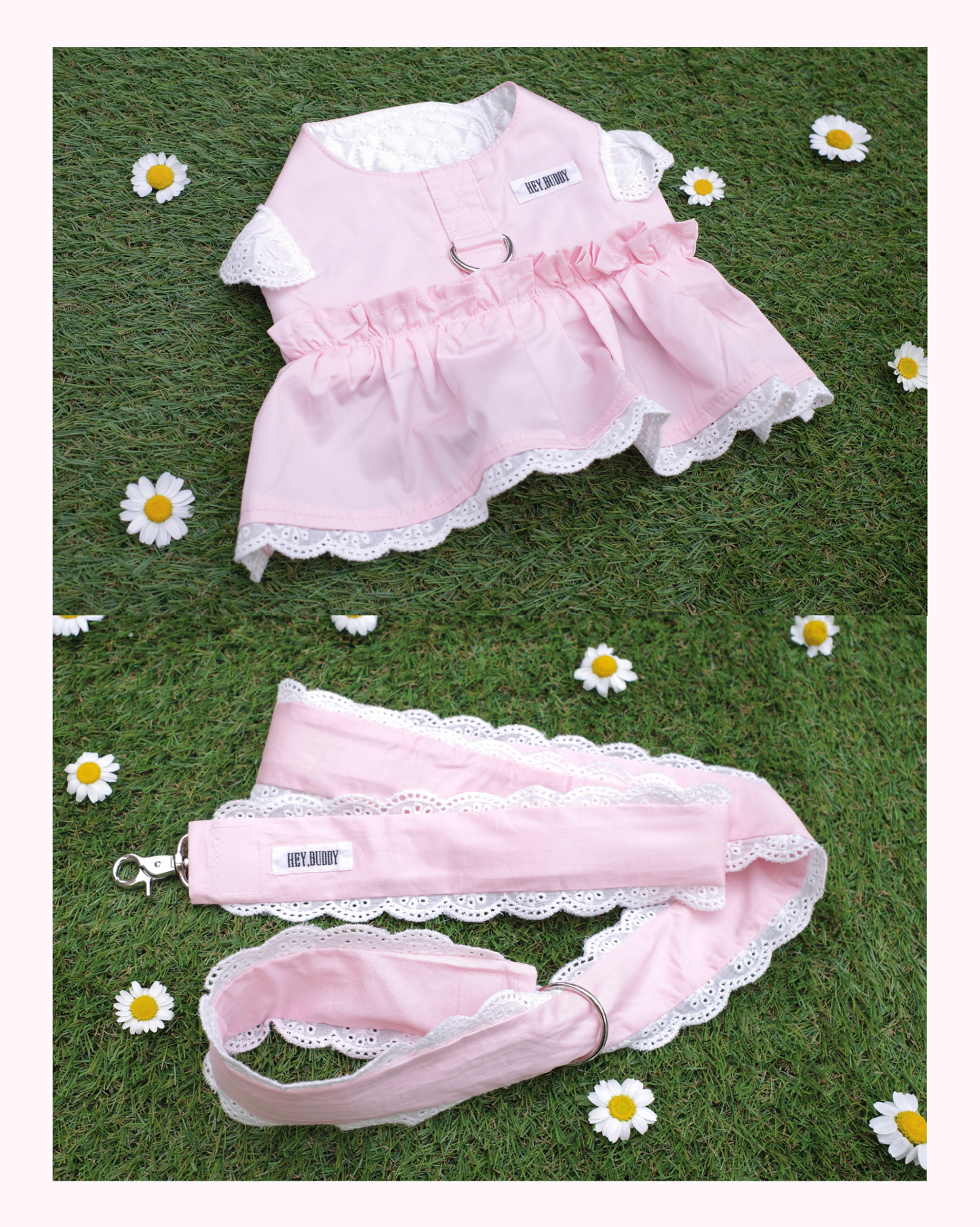 【感謝祭限定】パステルハーネス＆リードセット