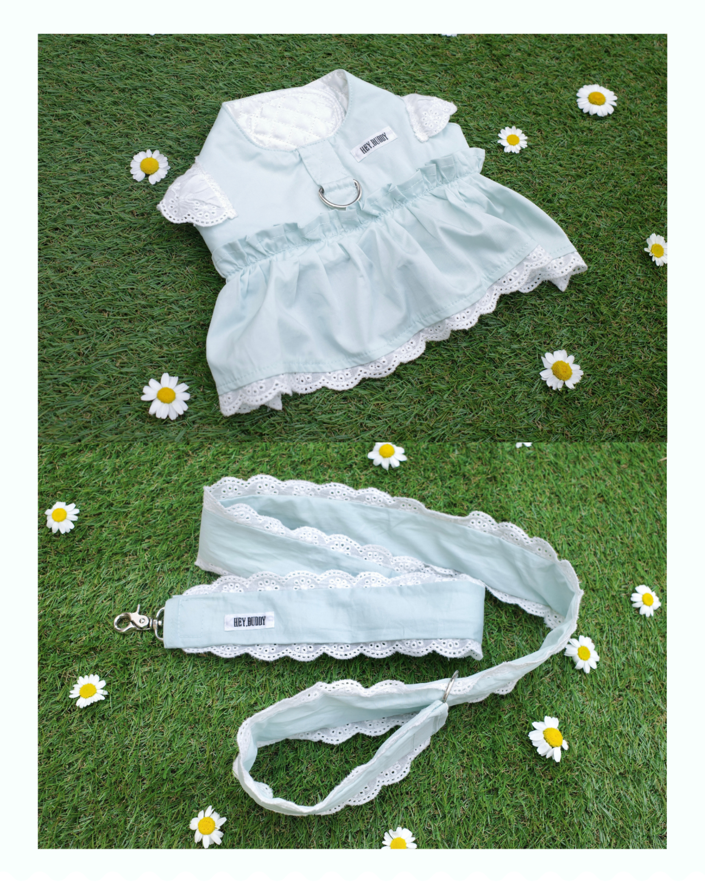 【感謝祭限定】パステルハーネス＆リードセット