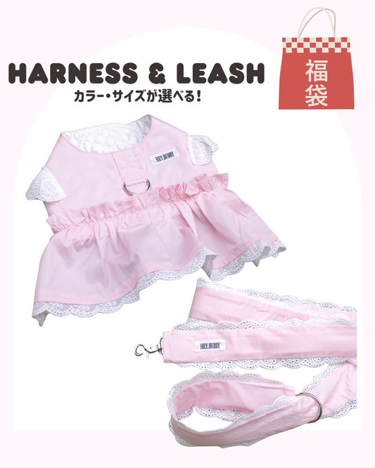 【感謝祭限定】パステルハーネス＆リードセット