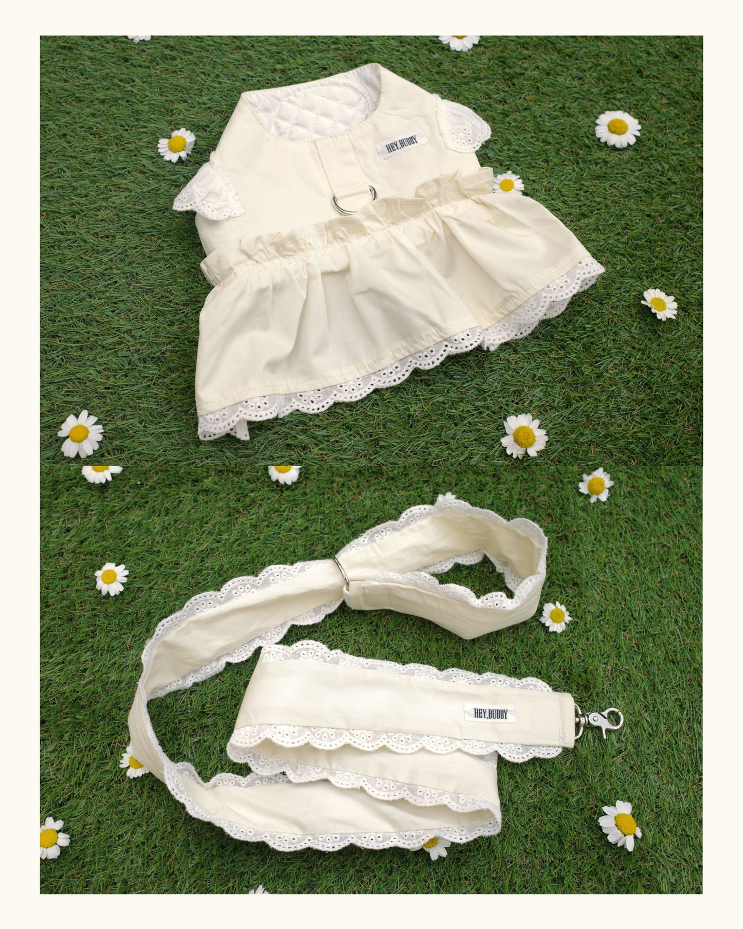 【感謝祭限定】パステルハーネス＆リードセット