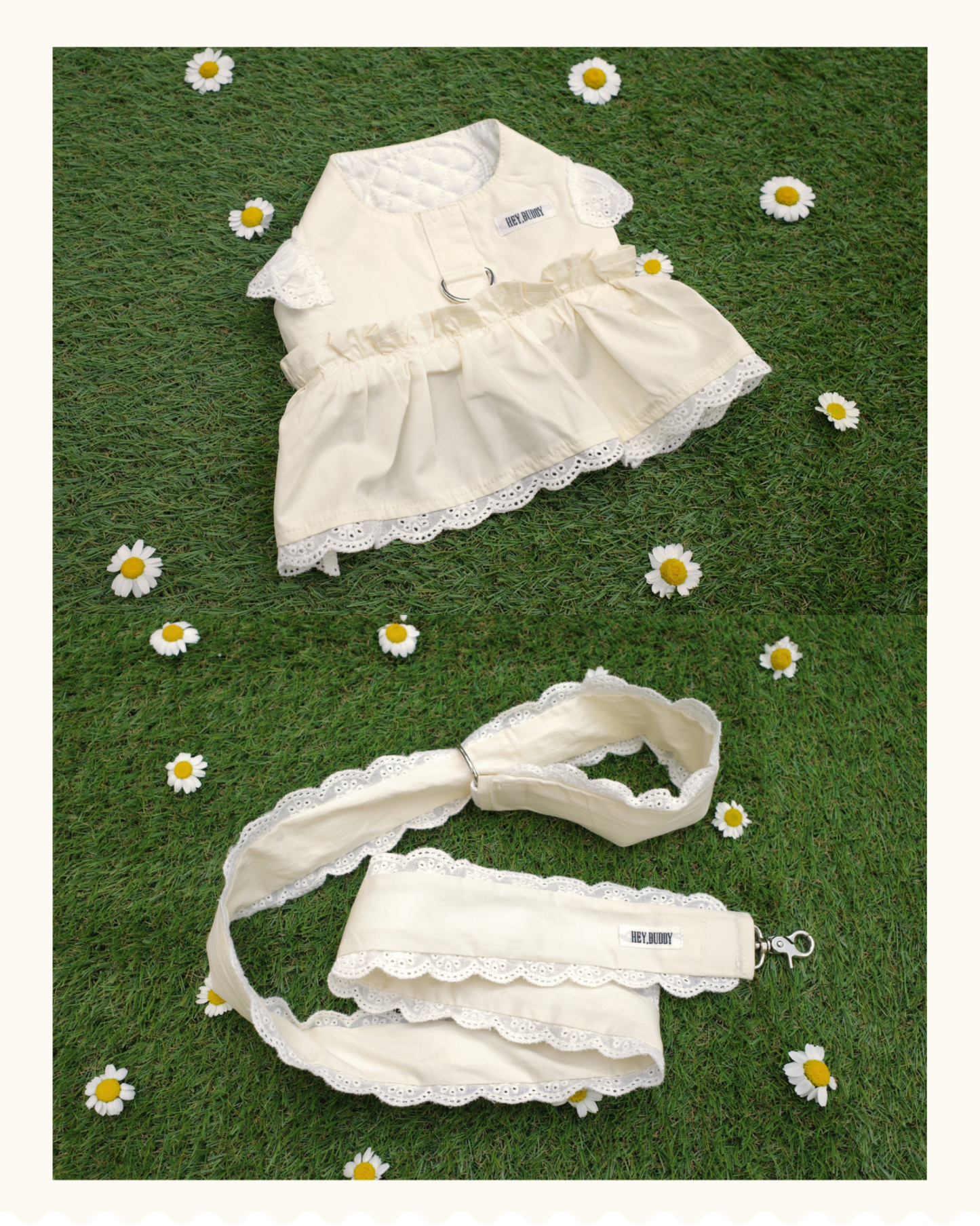 【感謝祭限定】パステルハーネス＆リードセット