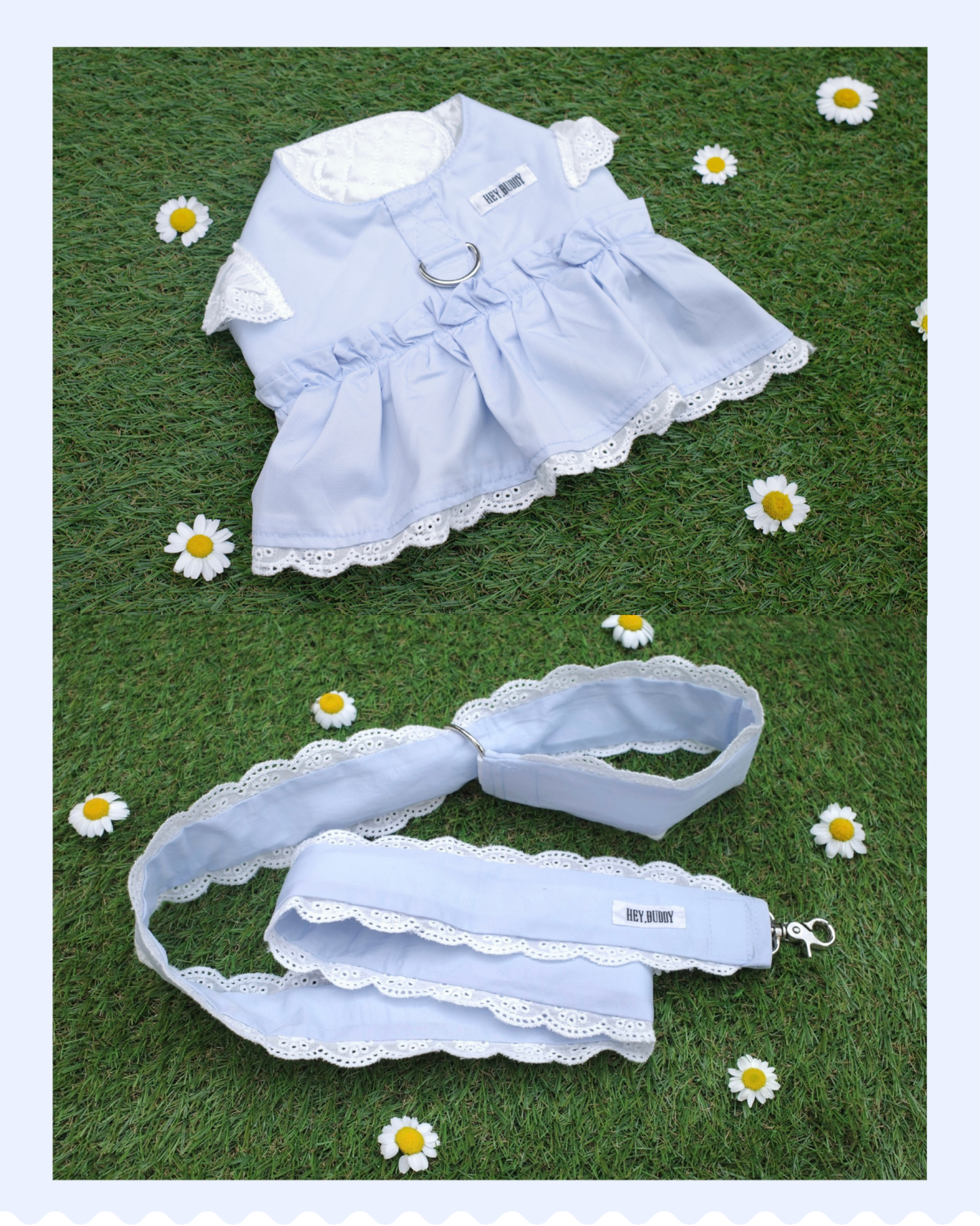 【感謝祭限定】パステルハーネス＆リードセット