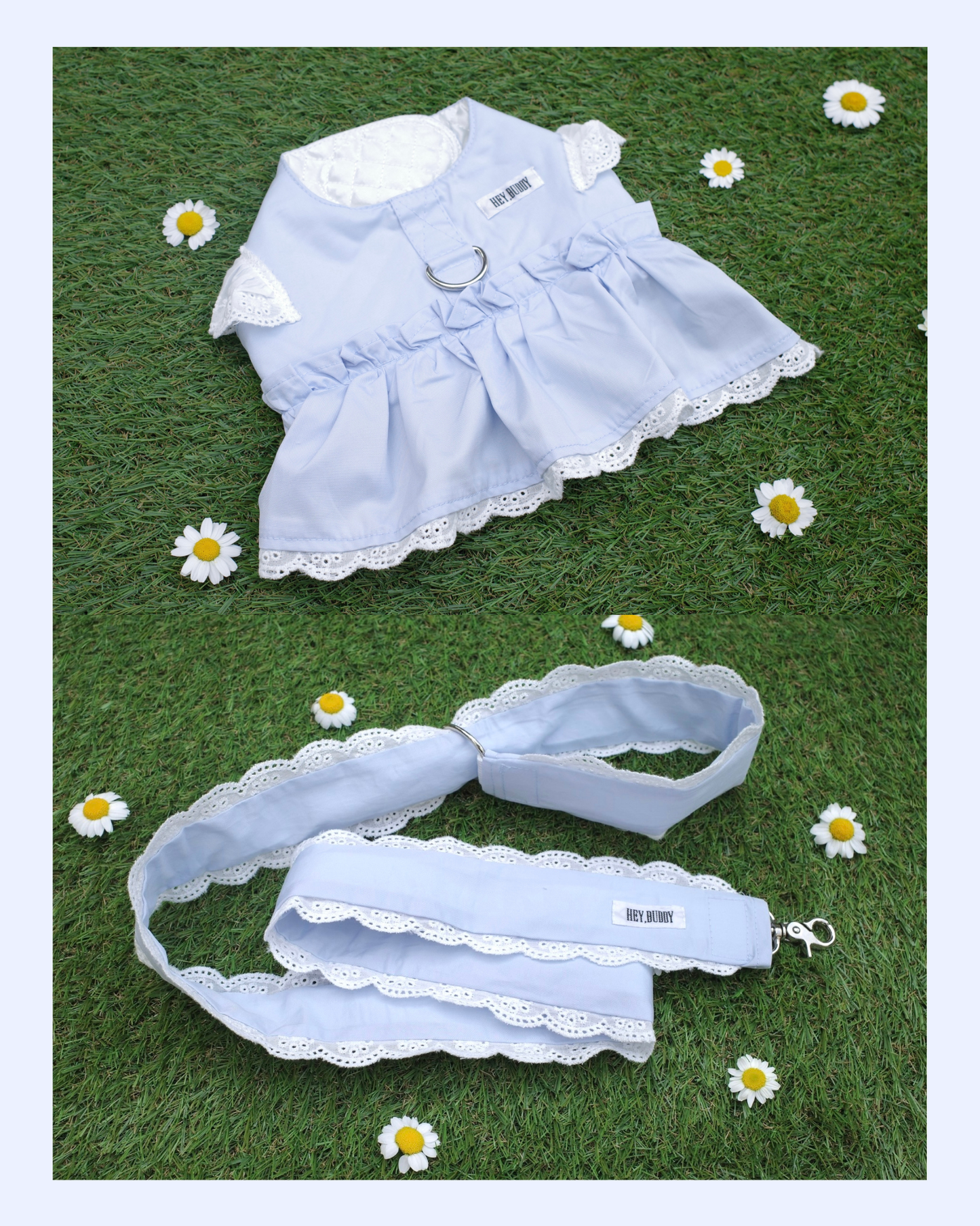 【感謝祭限定】パステルハーネス＆リードセット