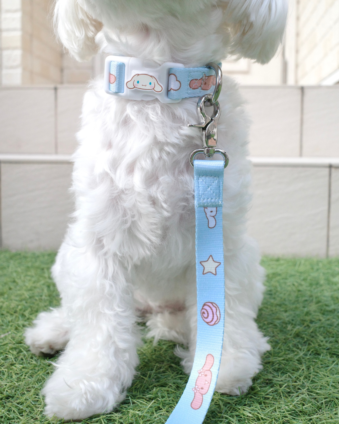 10月発売予定【CINNAMOROLL】カラー