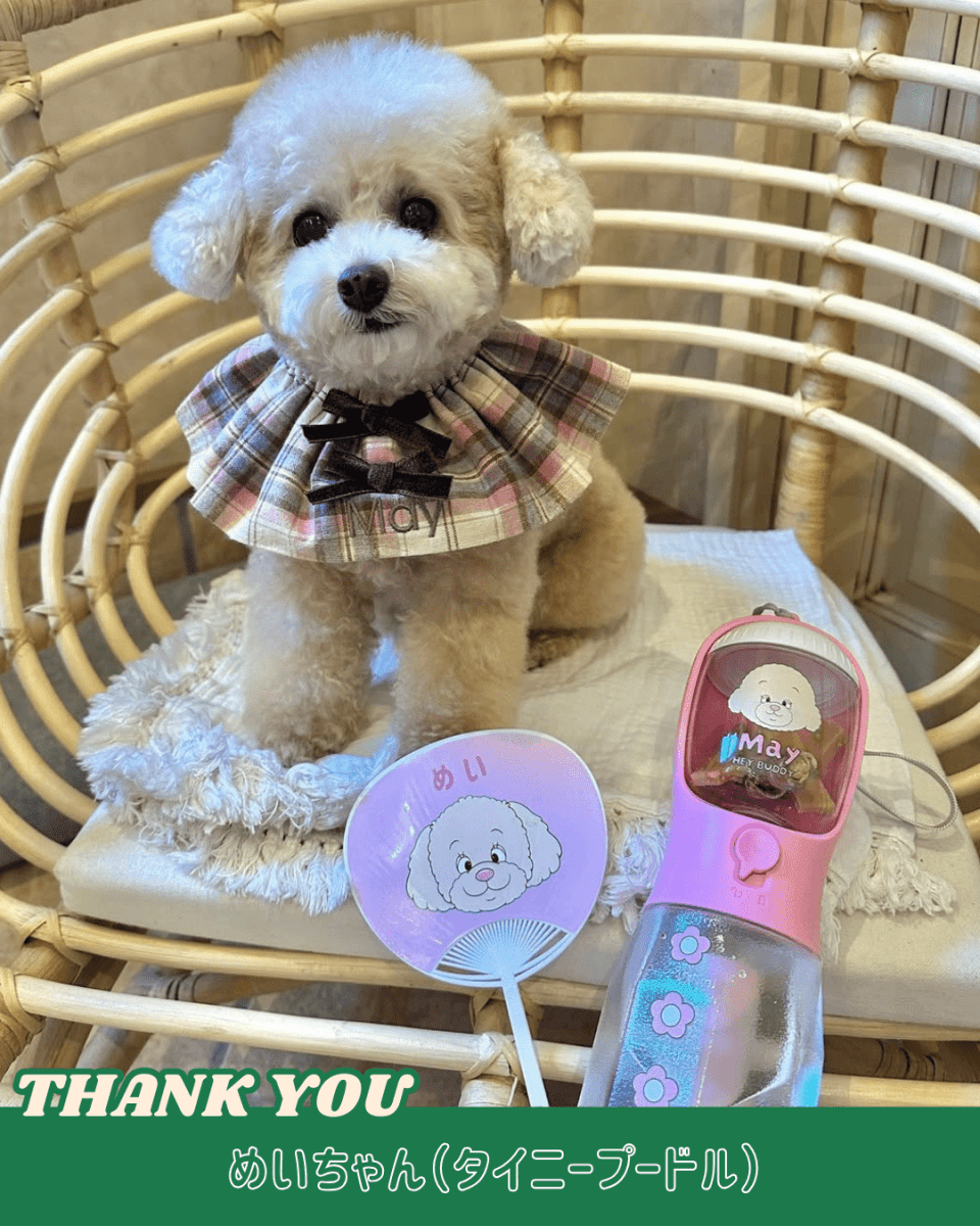 3 in 1 flower bottle - 300ml - HEY,BUDDY