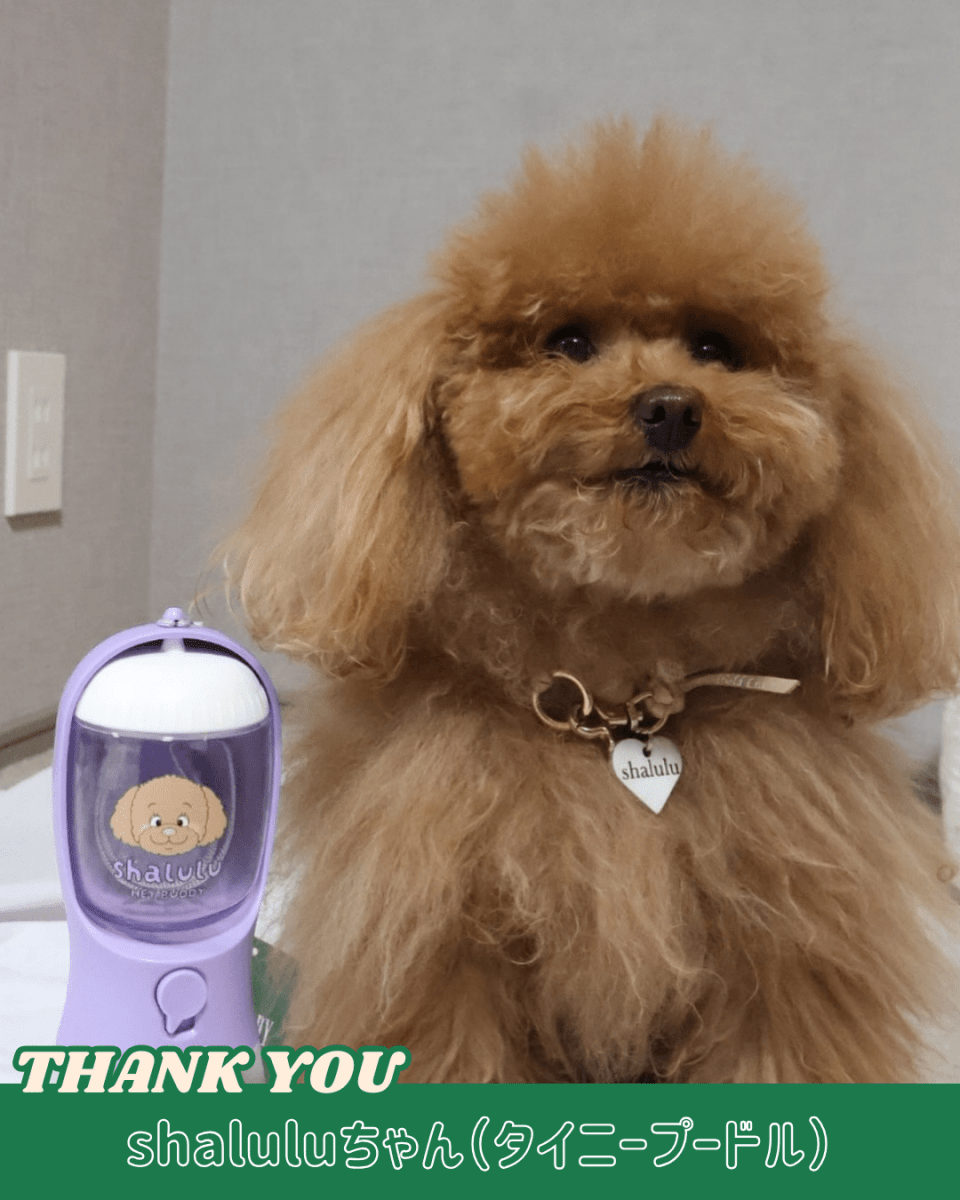 3 in 1 flower bottle - 300ml - HEY,BUDDY