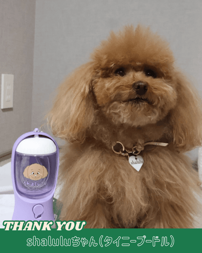 3 in 1 flower bottle - 300ml - HEY,BUDDY