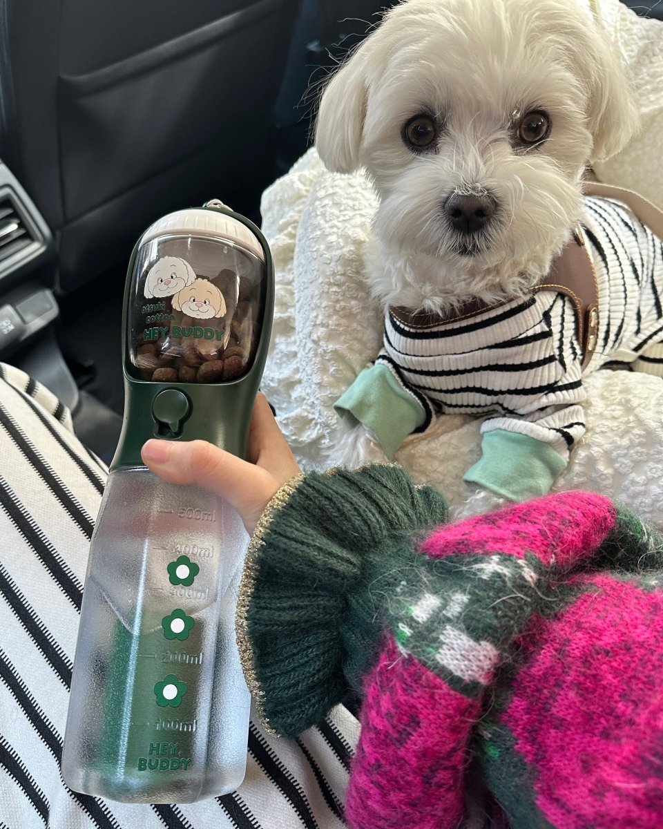 3 in 1 flower bottle - 600ml - HEY,BUDDY