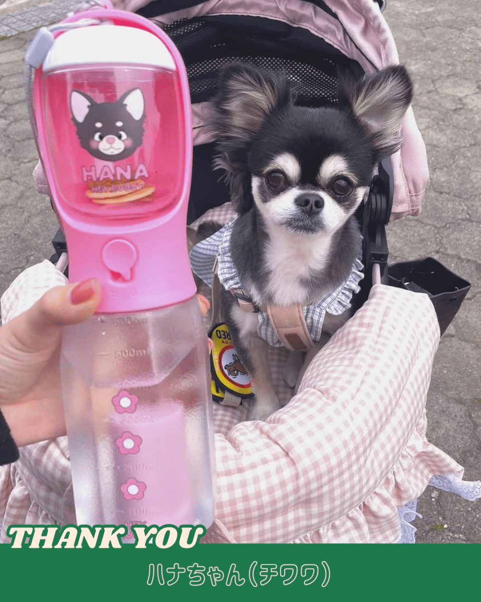 3 in 1 flower bottle - 600ml - HEY,BUDDY