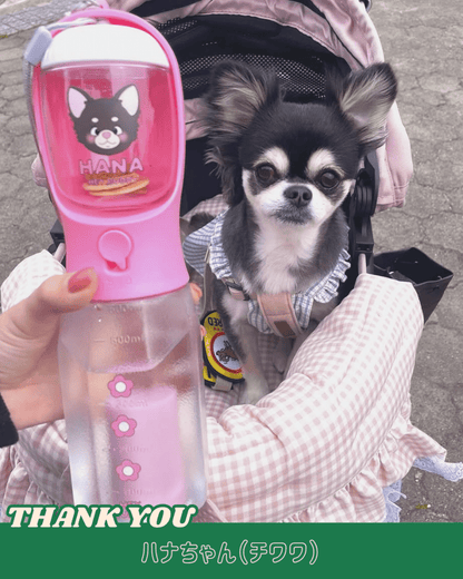 3 in 1 flower bottle - 600ml - HEY,BUDDY