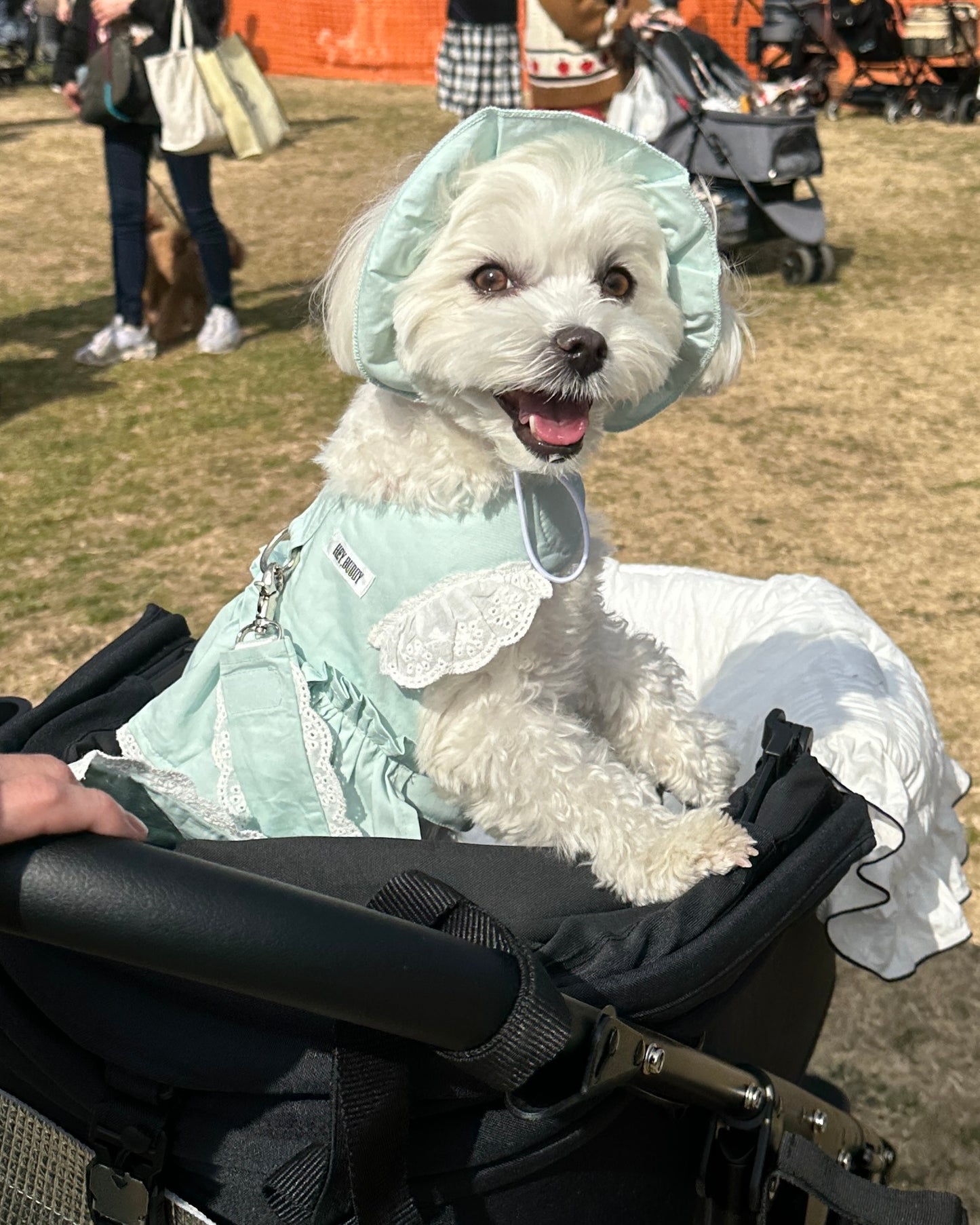 pastel lace bonnet