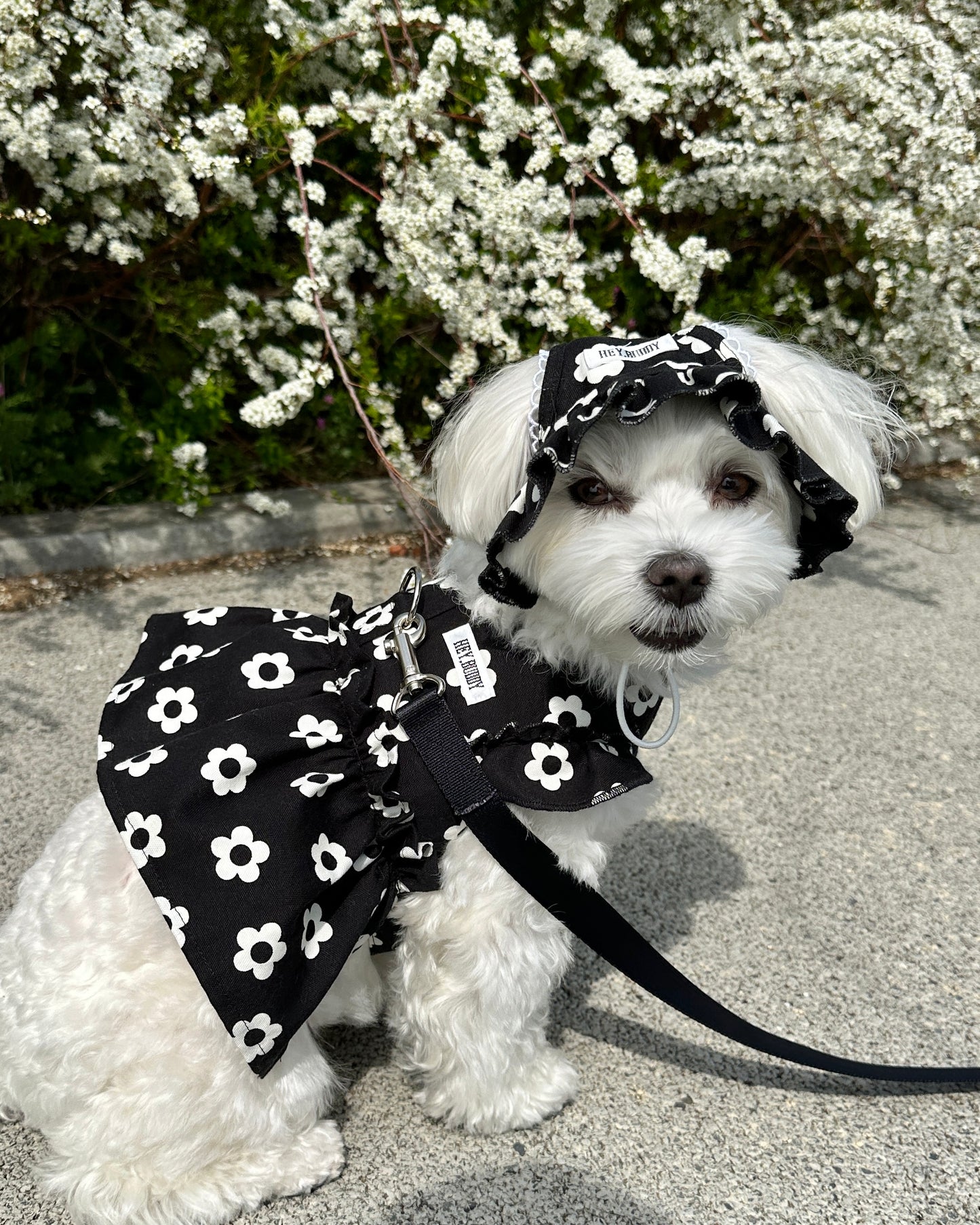 monotone flower bonnet